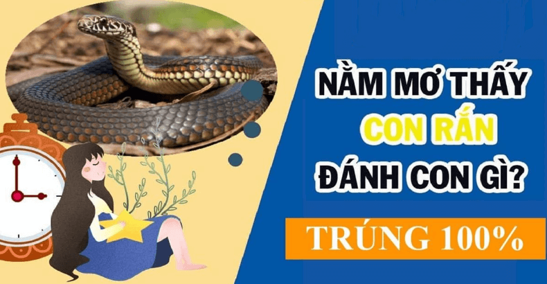 Mơ Thấy Rắn Đánh Con Gì?